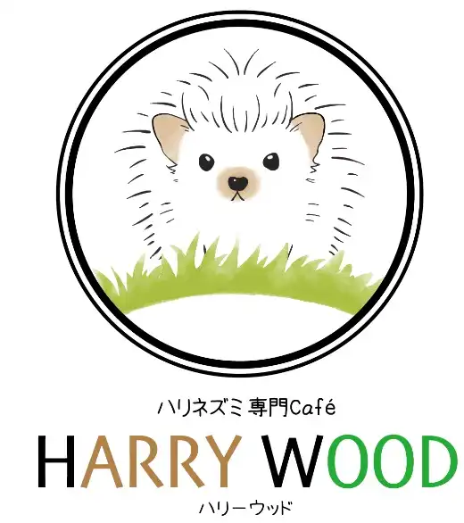 「HARRY WOOD×チェキパ」ペア1日店長イベントが9月14日に開催｜料金やチケット、出演者などを紹介