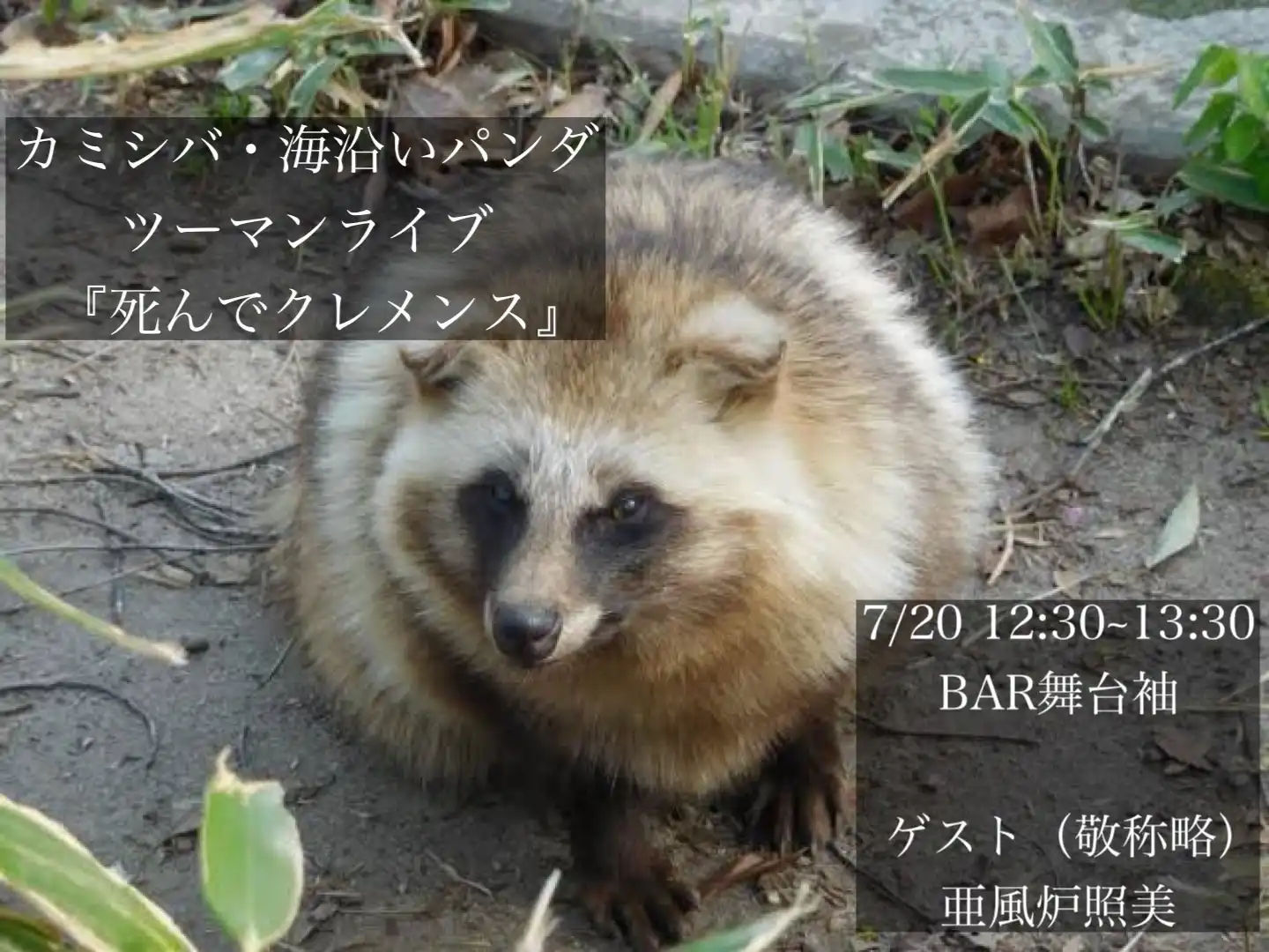 海沿いパンダとカミシバが死んでクレメンスでツーマンライブを開催