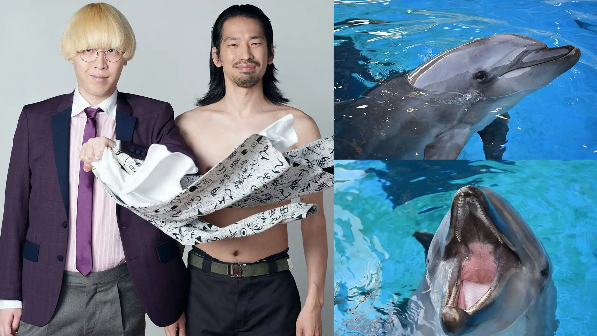 真空ジェシカが新江ノ島水族館でイルカとの夢のコラボイベントを9月23日に開催、M-1グランプリ4年連続ファイナリストの漫才とオリジナルイルカショーが交互に進行
